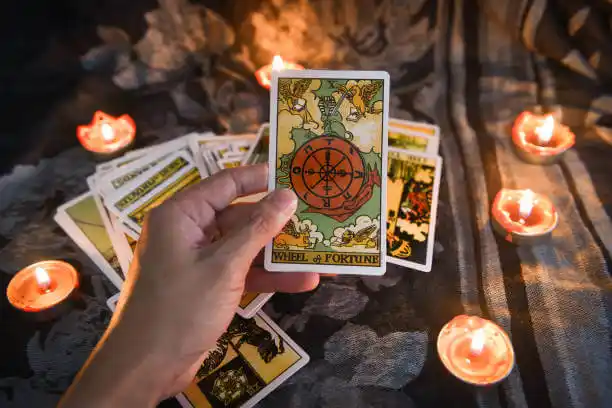 tarot cards Delshire